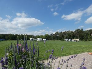 Minicamping Dennenburg in Lage Mierde
